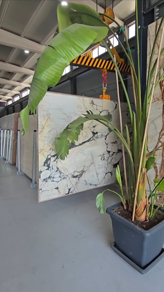 Rare Calacatta Monet Extra Marble Discovered, Attracting Global Attention
