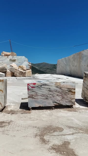 Bianca Foresta Marble: A Natural Stone Captivating Design Trends